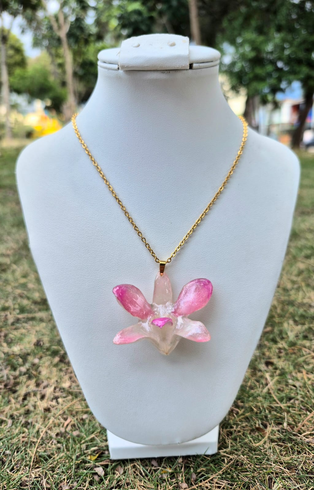 orquidea dendrobium